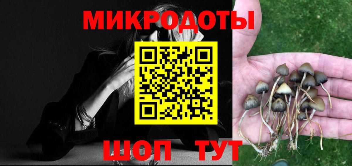 Саратов  Псилоцибиновые грибы Cubensis  Галлюциногенные грибы мухоморы  где можно купить   Вход с VPN 