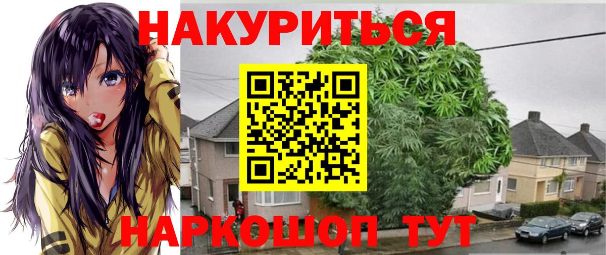 Марихуана ГИДРОПОН  Вход с VPN  Конопля Bruce Banner  Канабис OG Kush  Саратов 